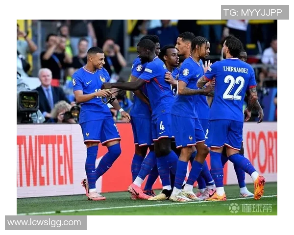 2012欧洲杯法国队阵容分析及球员表现回顾