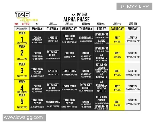 全面提升力量与耐力的哑铃健身计划表助你塑造完美身材与健康生活